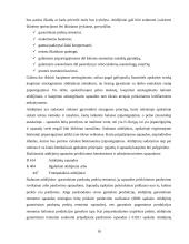 Įsipareigojimai. Įsipareigojimų vertinimas, kontrolė ir apskaita: eksporto, importo ir prekybos firma IĮ "Leksima" 18 puslapis