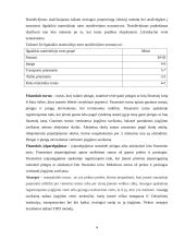 Įsipareigojimai. Įsipareigojimų vertinimas, kontrolė ir apskaita: eksporto, importo ir prekybos firma IĮ "Leksima" 4 puslapis