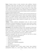 Įsipareigojimai. Įsipareigojimų vertinimas, kontrolė ir apskaita: eksporto, importo ir prekybos firma IĮ "Leksima" 5 puslapis