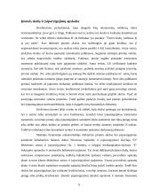 Įsipareigojimai. Įsipareigojimų vertinimas, kontrolė ir apskaita: eksporto, importo ir prekybos firma IĮ "Leksima" 9 puslapis