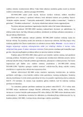 ISO 9001: 2000 serijos standartų parinkimas ir taikymas 2 puslapis