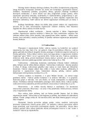 Valdymo principų analizė organizacijose 12 puslapis