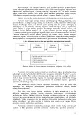 Valdymo principų analizė organizacijose 13 puslapis