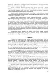 Valdymo principų analizė organizacijose 14 puslapis