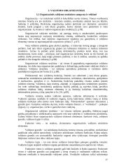 Valdymo principų analizė organizacijose 17 puslapis