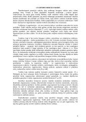 Valdymo principų analizė organizacijose 4 puslapis