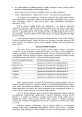 Valdymo principų analizė organizacijose 7 puslapis