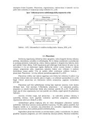 Valdymo principų analizė organizacijose 8 puslapis