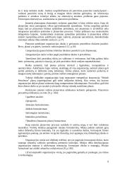 Valdymo principų analizė organizacijose 9 puslapis