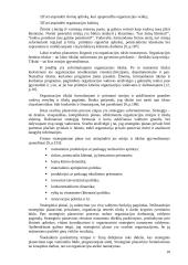 Valdymo principų analizė organizacijose 10 puslapis