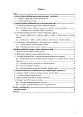 Valstybės biudžeto išlaidų valdymas ir kontrolė 2 puslapis