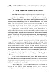 Valstybės biudžeto išlaidų valdymas ir kontrolė 11 puslapis