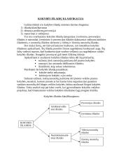 Kokybės išlaidos 2 puslapis