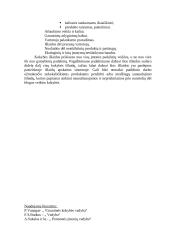 Kokybės išlaidos 6 puslapis