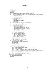 Verslo kūrimas: kaimo turizmas 2 puslapis