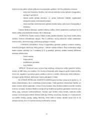 Verslo kūrimas: kaimo turizmas 11 puslapis