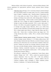 Verslo kūrimas: kaimo turizmas 12 puslapis