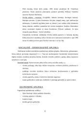 Verslo kūrimas: kaimo turizmas 13 puslapis