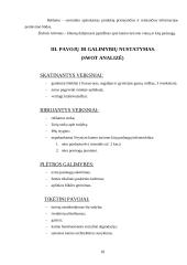 Verslo kūrimas: kaimo turizmas 18 puslapis