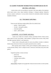 Verslo kūrimas: kaimo turizmas 10 puslapis