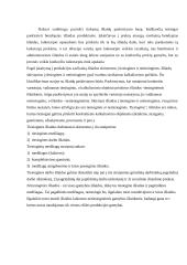 Išlaidų kalkuliavimas 2 puslapis