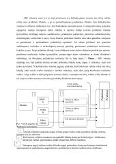 Išlaidų kalkuliavimas 12 puslapis
