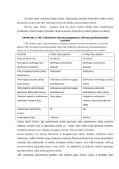 Išlaidų kalkuliavimas 15 puslapis