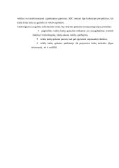 Išlaidų kalkuliavimas 16 puslapis