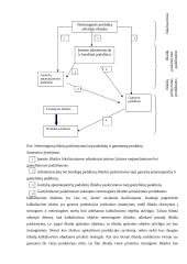 Išlaidų kalkuliavimas 3 puslapis