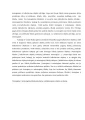 Išlaidų kalkuliavimas 4 puslapis