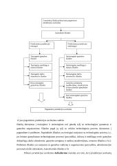 Išlaidų kalkuliavimas 5 puslapis