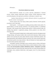 Išlaidų kalkuliavimas 7 puslapis