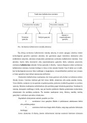Išlaidų kalkuliavimas 8 puslapis