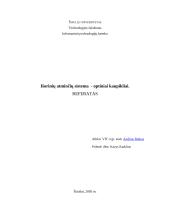 Išorinių atminčių sistema  - optiniai kaupikliai