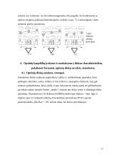 Išorinių atminčių sistema  - optiniai kaupikliai 11 puslapis