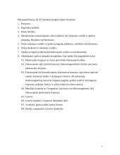 Išorinių atminčių sistema  - optiniai kaupikliai 7 puslapis