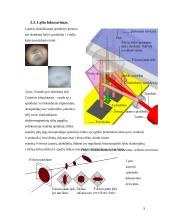 Išorinių atminčių sistema  - optiniai kaupikliai 9 puslapis