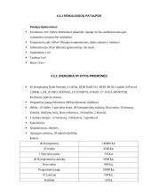 Verslo planas: internetinių paslaugų tiekimas, kompiuterinė UAB "DF" 12 puslapis