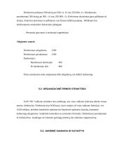 Verslo planas: internetinių paslaugų tiekimas, kompiuterinė UAB "DF" 15 puslapis