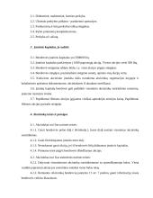 Verslo planas: internetinių paslaugų tiekimas, kompiuterinė UAB "DF" 17 puslapis