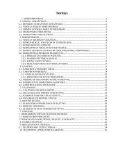 Verslo planas: internetinių paslaugų tiekimas, kompiuterinė UAB "DF" 3 puslapis