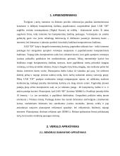 Verslo planas: internetinių paslaugų tiekimas, kompiuterinė UAB "DF" 4 puslapis