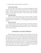 Verslo planas: internetinių paslaugų tiekimas, kompiuterinė UAB "DF" 7 puslapis