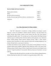 Verslo planas: internetinių paslaugų tiekimas, kompiuterinė UAB "DF" 10 puslapis