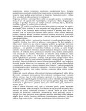 Paauglystė ir jauno žmogaus pasaulis 11 puslapis