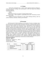 Verslo planas: šildymo paslaugų UAB "Šilta svajonė" 11 puslapis