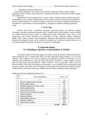 Verslo planas: šildymo paslaugų UAB "Šilta svajonė" 13 puslapis