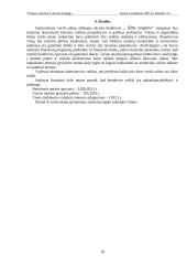 Verslo planas: šildymo paslaugų UAB "Šilta svajonė" 18 puslapis