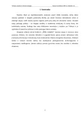 Verslo planas: šildymo paslaugų UAB "Šilta svajonė" 3 puslapis