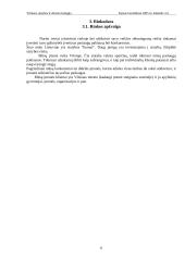 Verslo planas: šildymo paslaugų UAB "Šilta svajonė" 6 puslapis